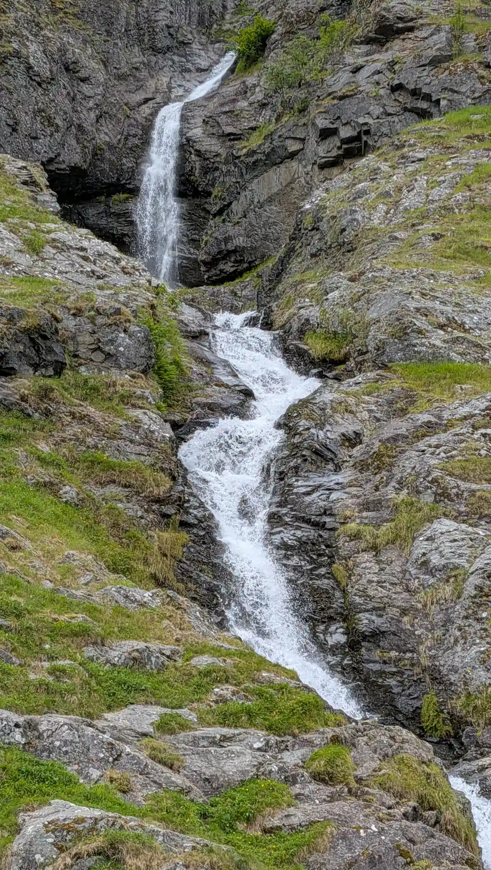 A narrow waterfall threading down a mossy rock face