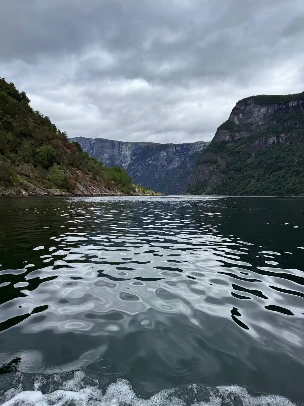 Ripples spreading across the fjord below a wooded cliff